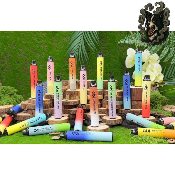 OBI-一次性-小主機