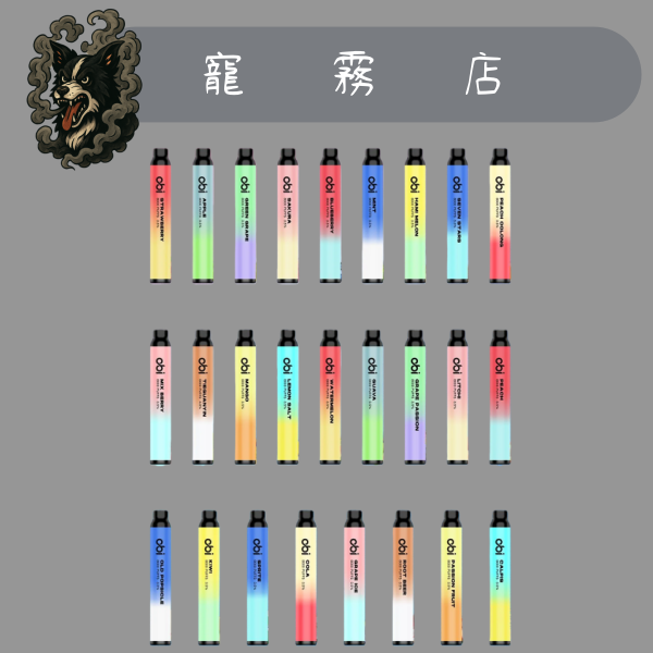 🌼一次性主機 -OBI 8000口